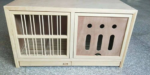 80避光巢箱 专业宠物寄养与繁殖的理想之选